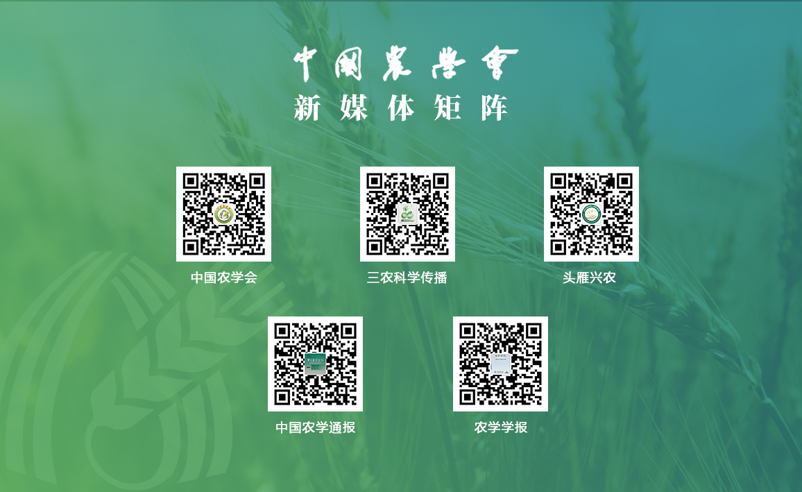 微信圖片_20250824092217_1185.jpg